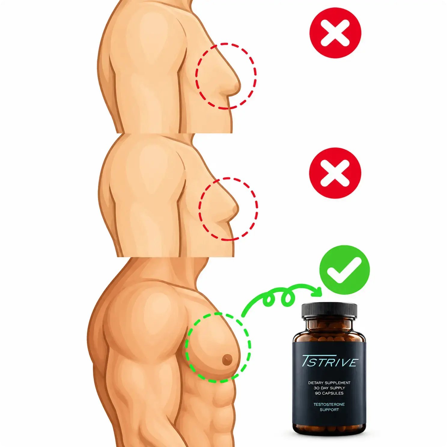 Speeds metabolism and melts beer belly